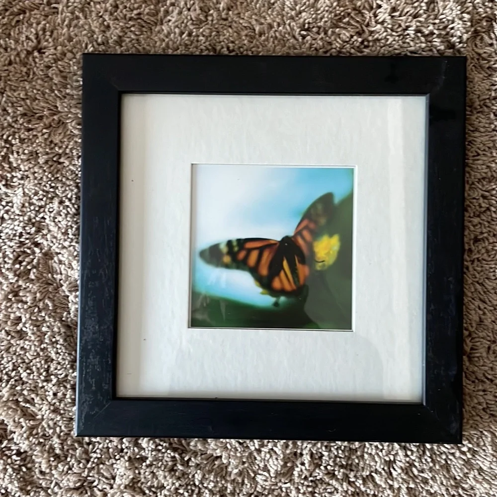 Set of two IKEA framed butterfly prints